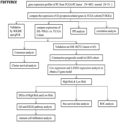 Identification of Novel Pyroptosis-Related Gene Signatures to Predict Prostate Cancer Recurrence